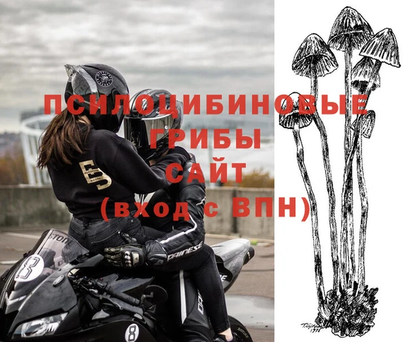 МДПВ Абаза