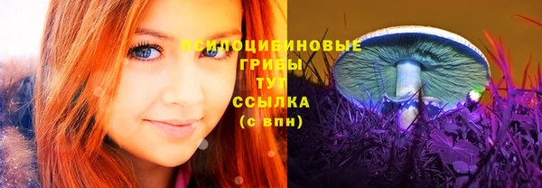 МДПВ Абаза