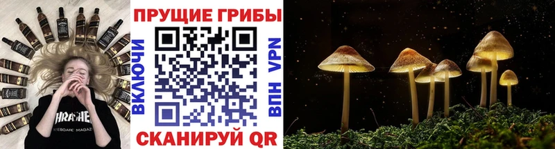 магазин продажи   Венёв  Галлюциногенные грибы мицелий 